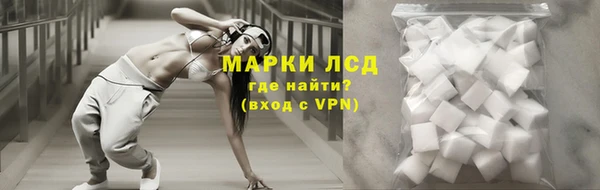 стаф Армянск