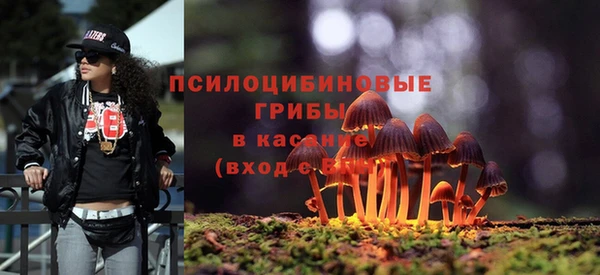 2c-b Арсеньев